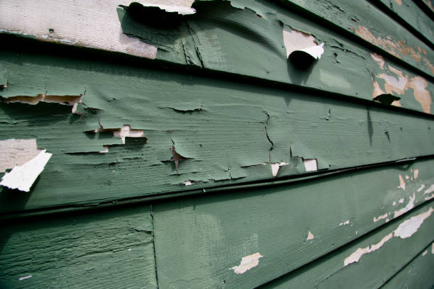 Best Property Management Cleanouts  in Rumson, NJ